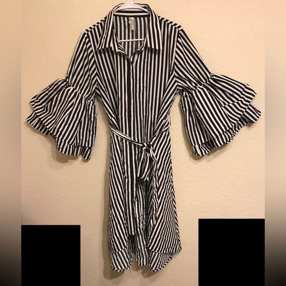 True Destiny Striped Button Front Dress With Belt